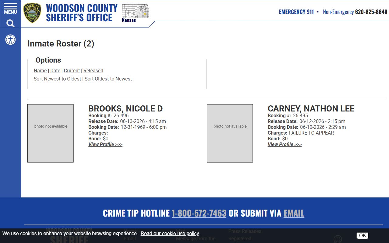 Woodson County jail mugshots 48-hour release roster